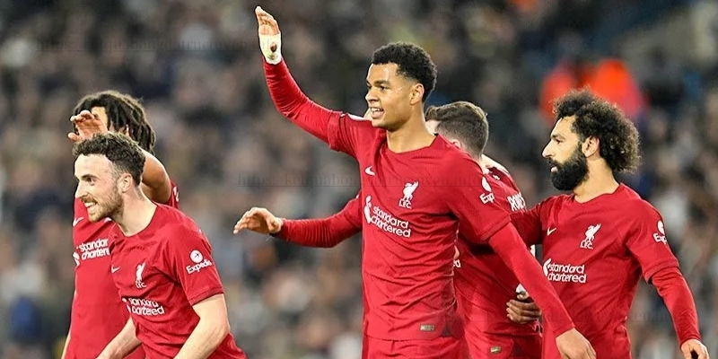 Liverpool và các ngôi sao trong đội hình